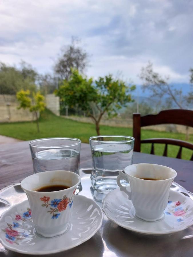 Guest House Gorani Berat Ngoại thất bức ảnh