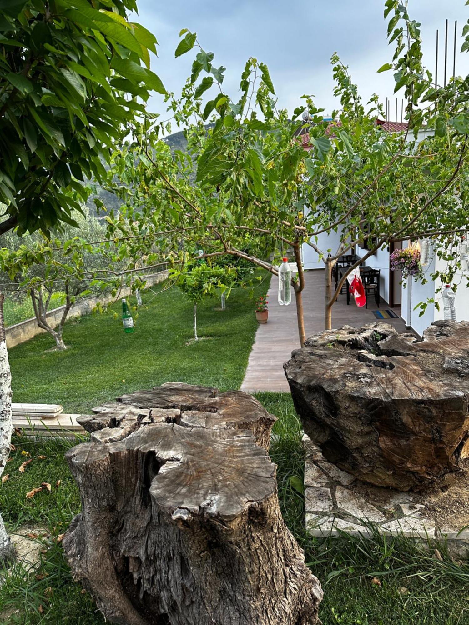 Guest House Gorani Berat Ngoại thất bức ảnh